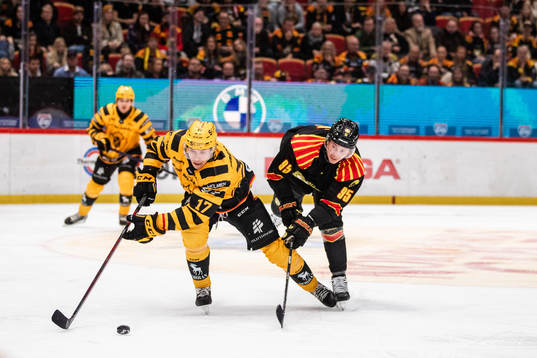 Skellefteås Pär Lindholm och Brynäs Nick Olesen