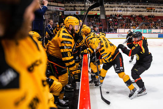 Skellefteås Max Lindholm och Brynäs Greg Scott