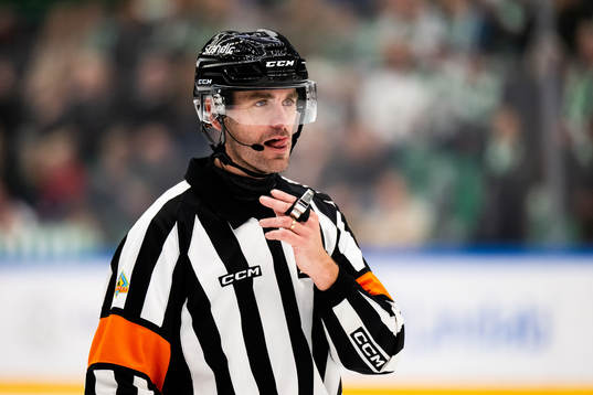 Domare Richard Magnusson