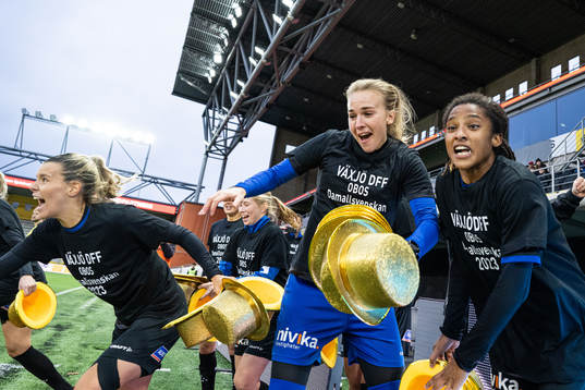 Växjös spelare jublar