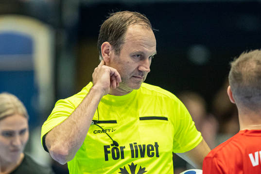 Domare Jonas Eriksson
