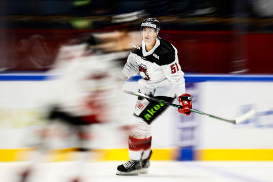 Malmö Redhawks Emil Sylvegård