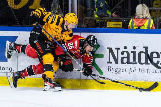 Skellefteås Anton Olsson och Luleås Radek Muzik