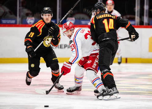 Brynäs Oscar Birgersson, Alexander Ljungkrantz och Timrås