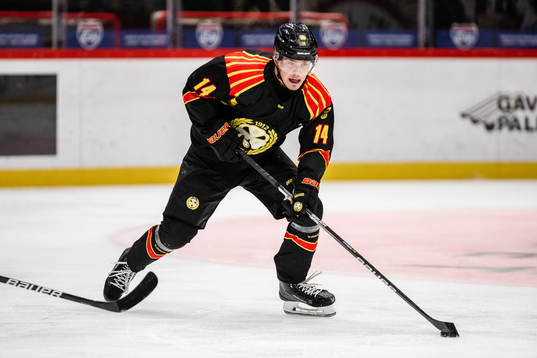 Brynäs Alexander Ljungkrantz