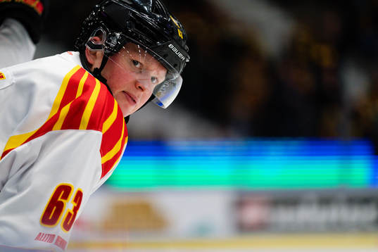 Brynäs Julius Bergman