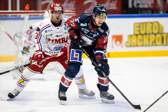 Linköpings Vilmos Gallo