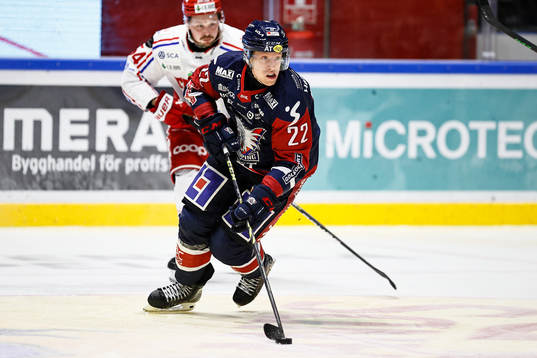 Linköpings Vilmos Gallo