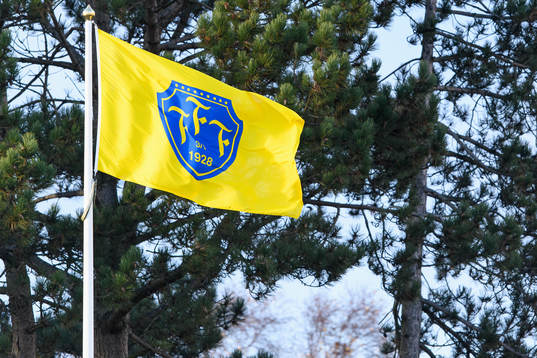 Falkenbergs flagga