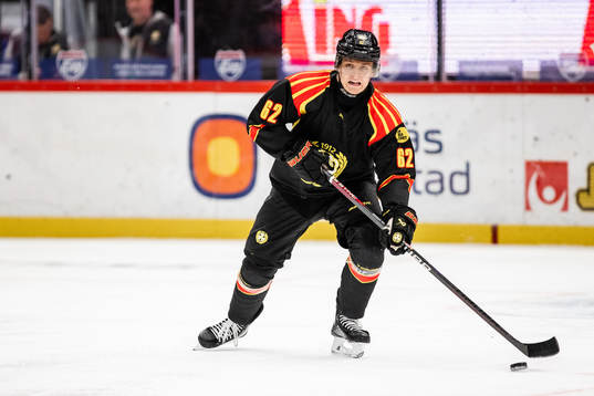 Brynäs Tom Hedberg