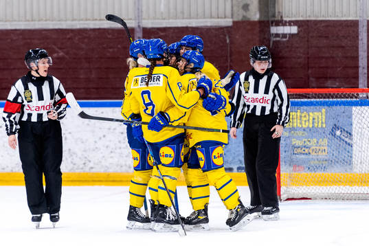 Sveriges spelare jublar