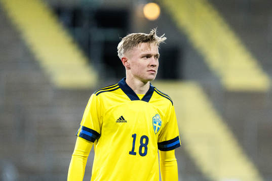 Sveriges Albin Ahlsrand
