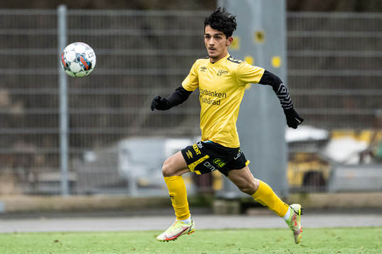 Elfsborgs Armin Ovaidi