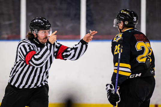 Domare Joshua Glans och Panterns Jens Jakobs