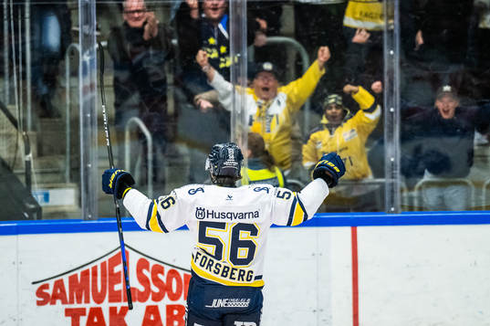 HV71s Fredrik Forsberg jublar