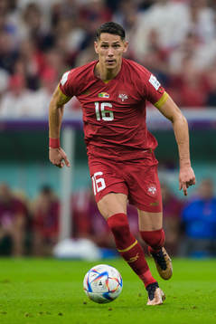 Sasa Lukic of Serbia