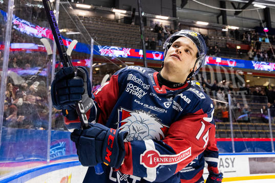 Linköpings Arvid Costmar jublar