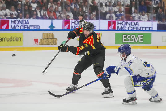 Brynäs Simon Bertilsson och Leksands Oskar Lang