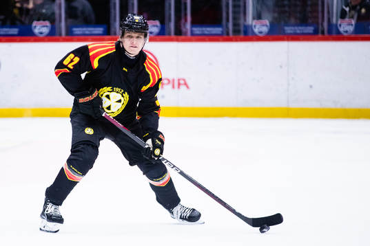Brynäs Tom Hedberg