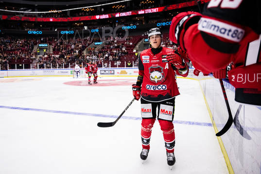 Malmö Redhawks Fredrik Händemark jublar
