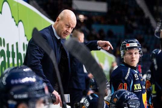 Djurgårdens assisterande tränare Marcus Ragnarsson