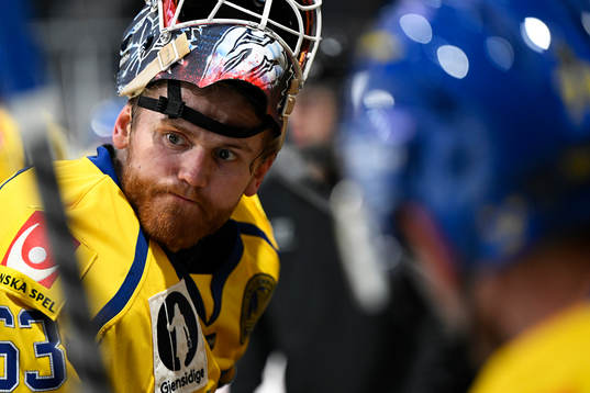 Goalkeeper Marcus Högberg of Sweden