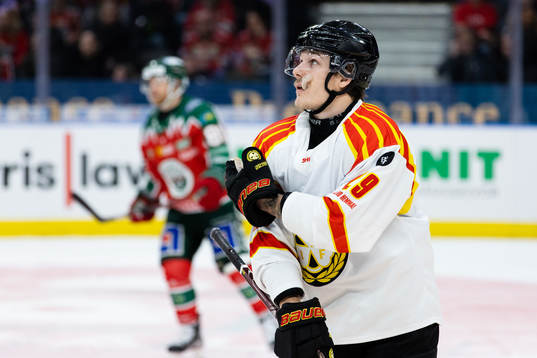 Brynäs Oscar Birgersson