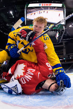 This picture is part of Bildbyrån’s selection of best