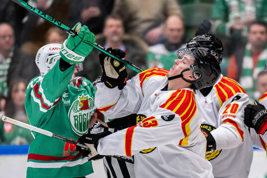 Rögles Daniel Zaar i bråk med Brynäs Samuel Johannesson