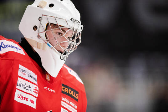 Almtunas målvakt David Ronnestål