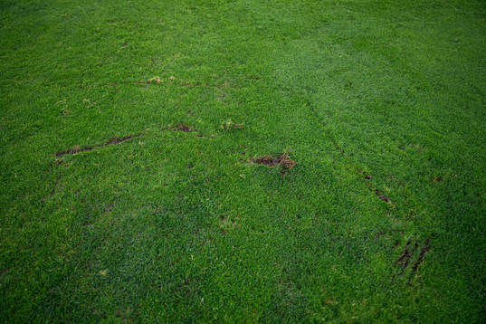 The football pitch at a training session