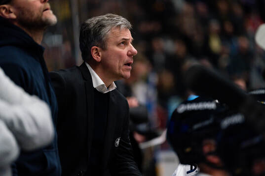 HV71s assisterande tränare Fredrik Stillman