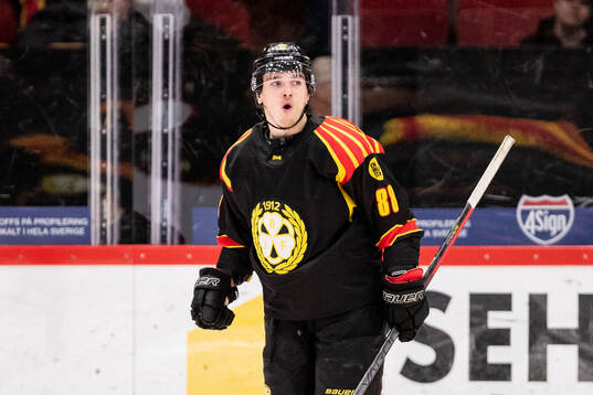 Brynäs Dmytro Timashov jublar