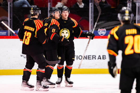 Brynäs Dmytro Timashov jublar