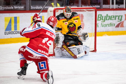 Timrås Nicholas Halloran och Luleås målvakt Joel