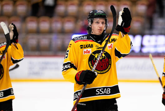 Luleås Carl Mattsson jublar