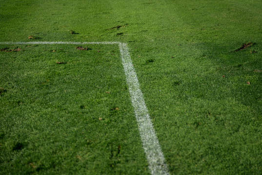 The pitch at a training session
