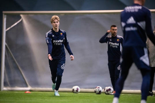 Theo Bergvall