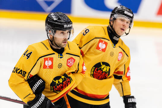 Jonathan Andersson and Erik Gustafsson of Luleå