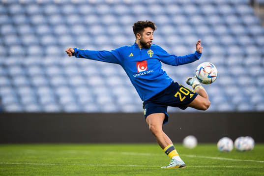 Moustafa Zeidan of Sweden