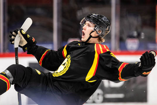 Brynäs William Strömgren jublar