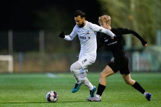 Helsingborgs Sumar Almadjed