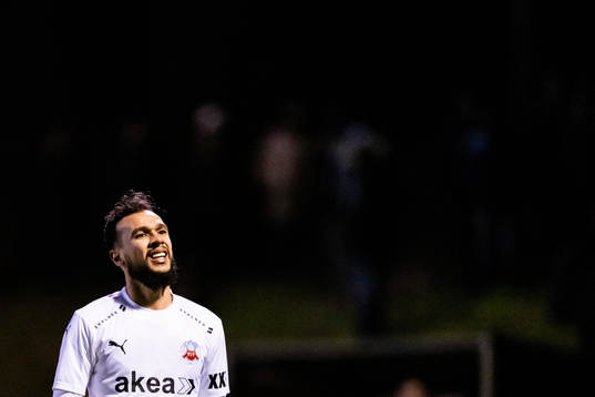 Helsingborgs Sumar Almadjed