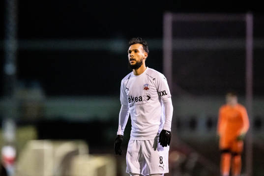 Helsingborgs Sumar Almadjed