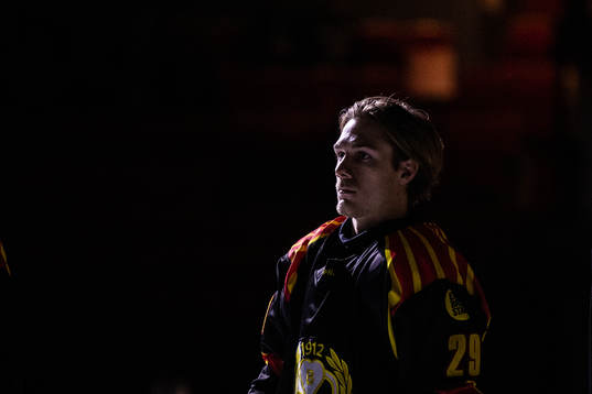 Brynäs Oscar Birgersson