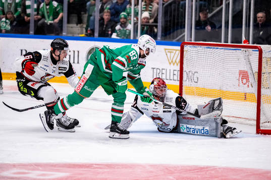 Rögles Riley Sheen och Malmö Redhawks Theodor Johnsson