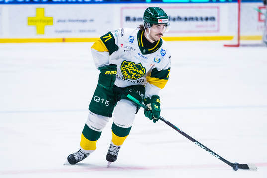 Björklövens Gustav Possler