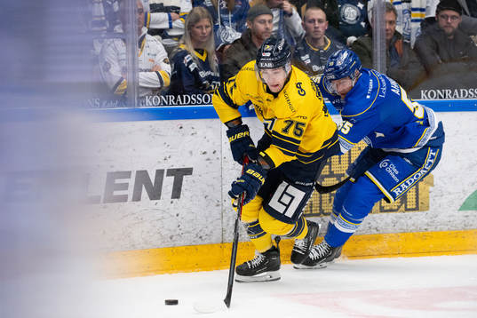 HV71s Radan Lenc och Leksands Jonas Ahnelöv