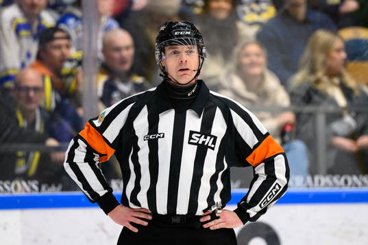 Domare Mikael Andersson