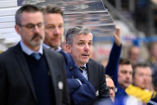 HV71s assisterande tränare Fredrik Stillman